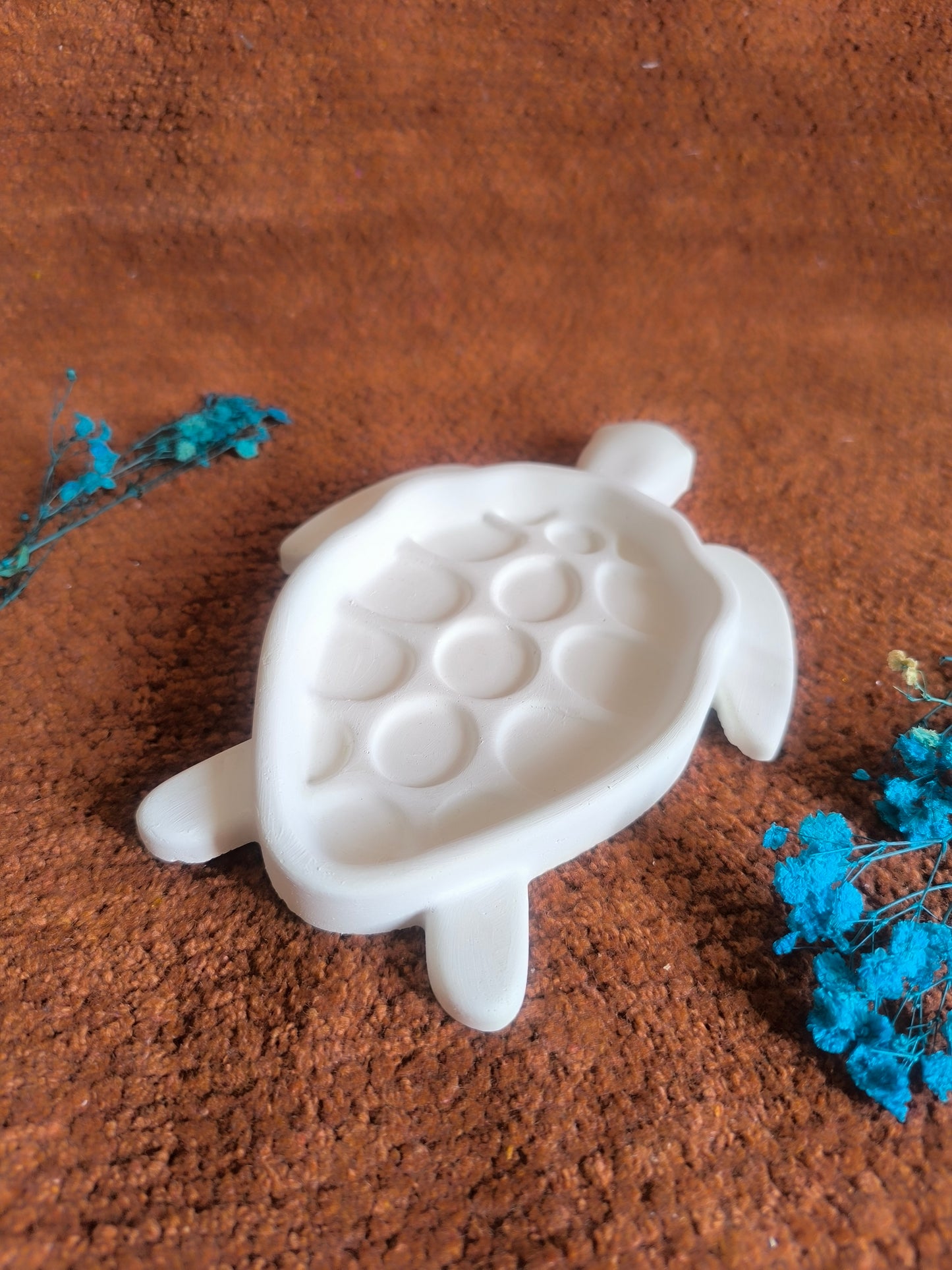 Tortoise trinket shell π’