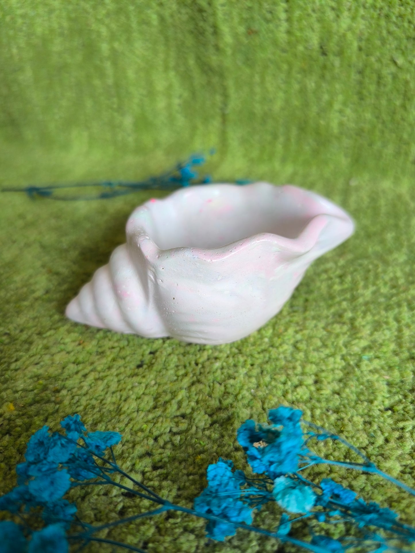 ✨Pastel shell 🐚