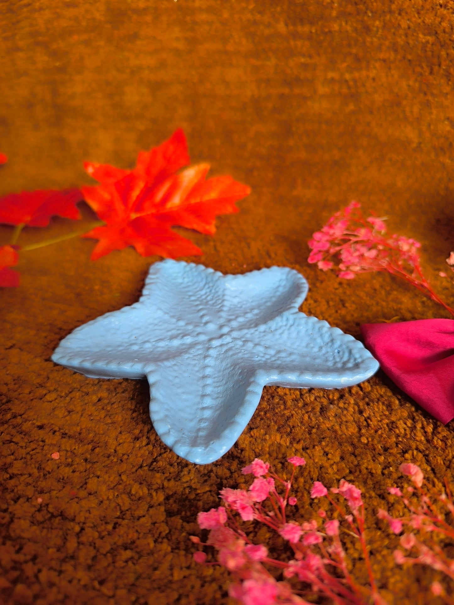 Sky Blue star fish 🐟