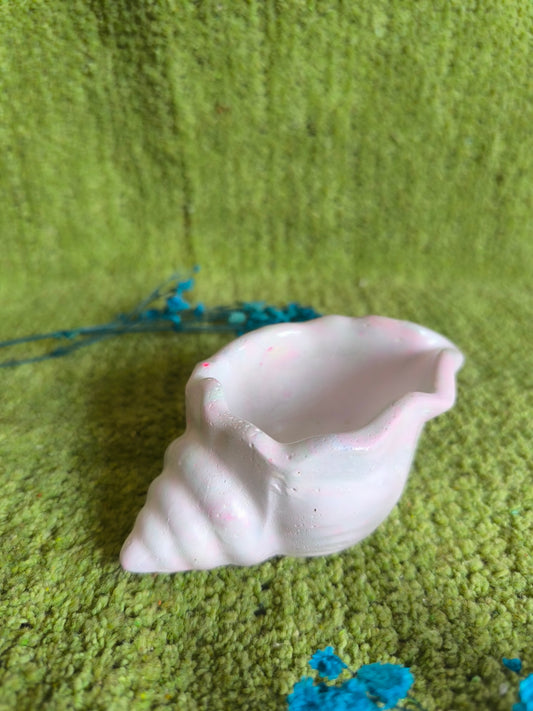 ✨Pastel shell 🐚