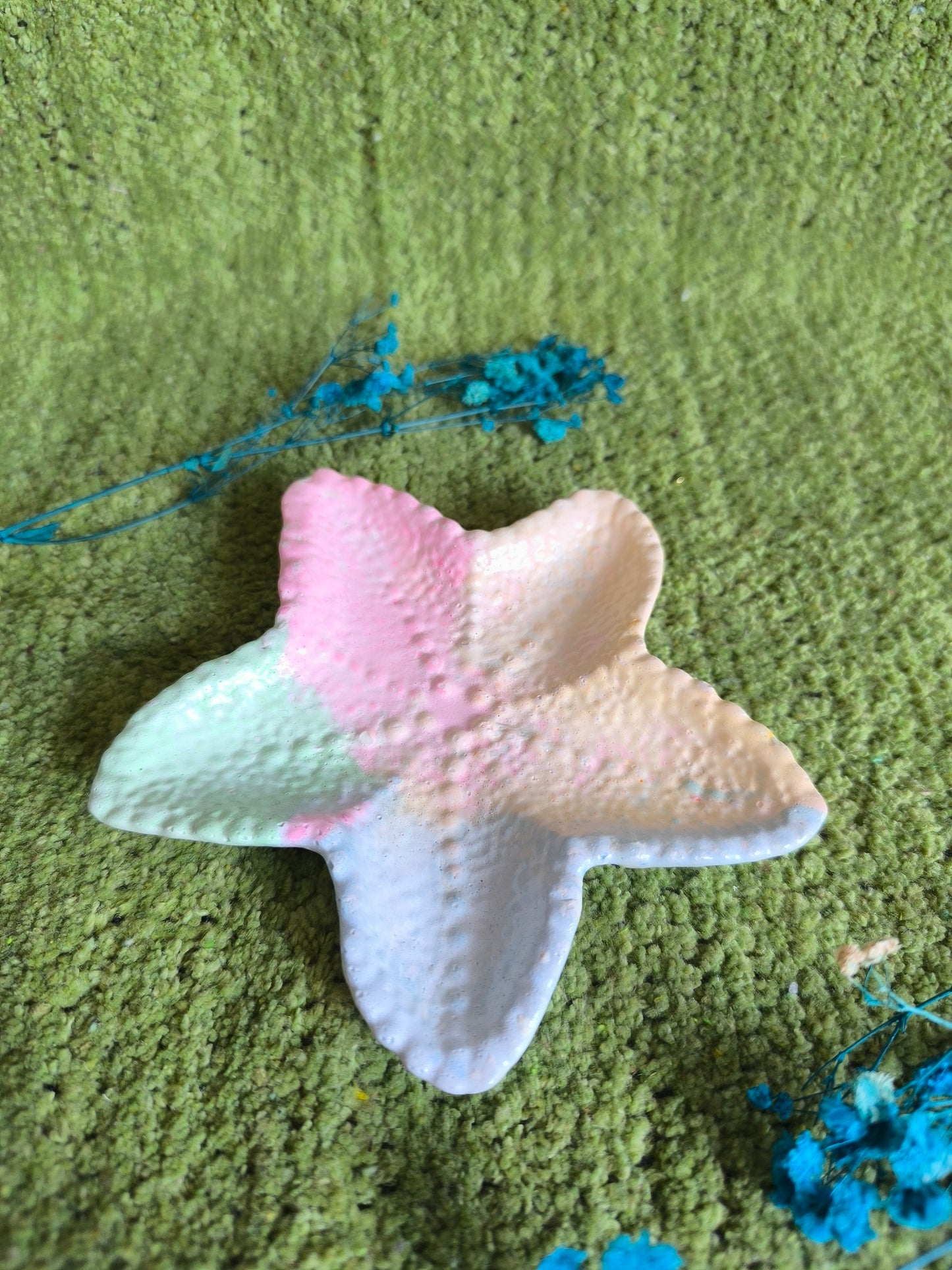 🧜‍♀️Mermaid Star Fish🌈