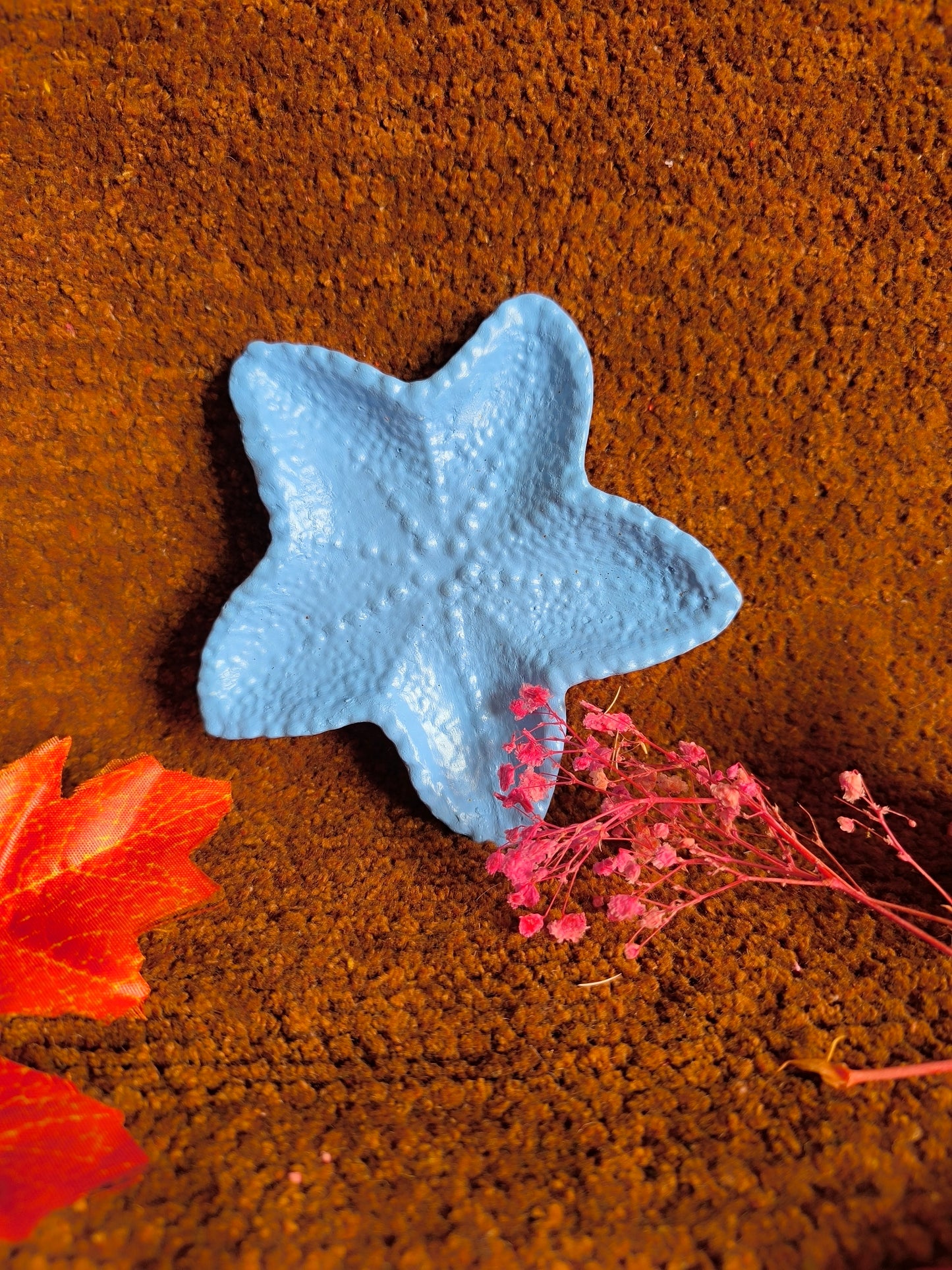 Sky Blue star fish 🐟