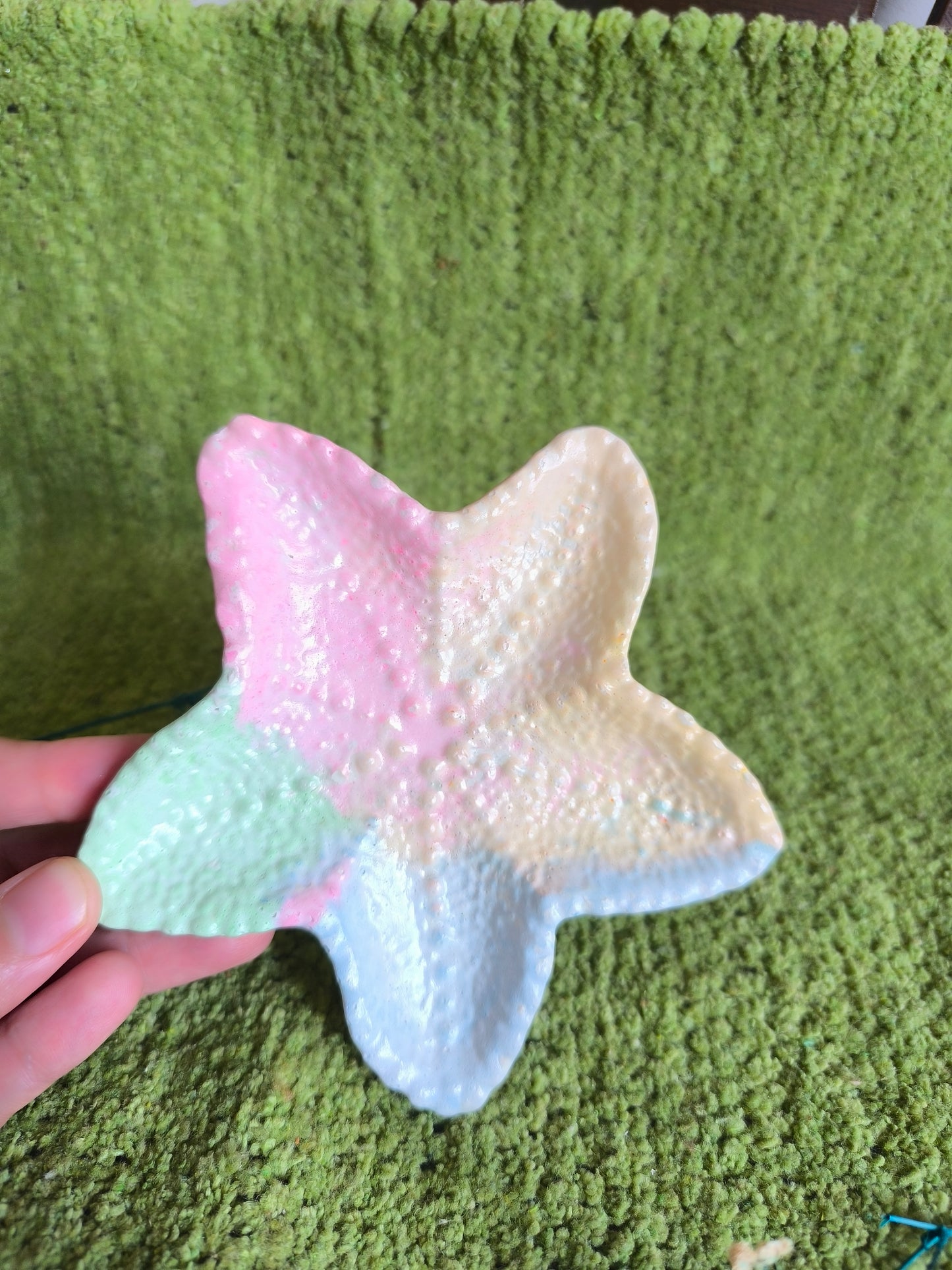 🧜‍♀️Mermaid Star Fish🌈