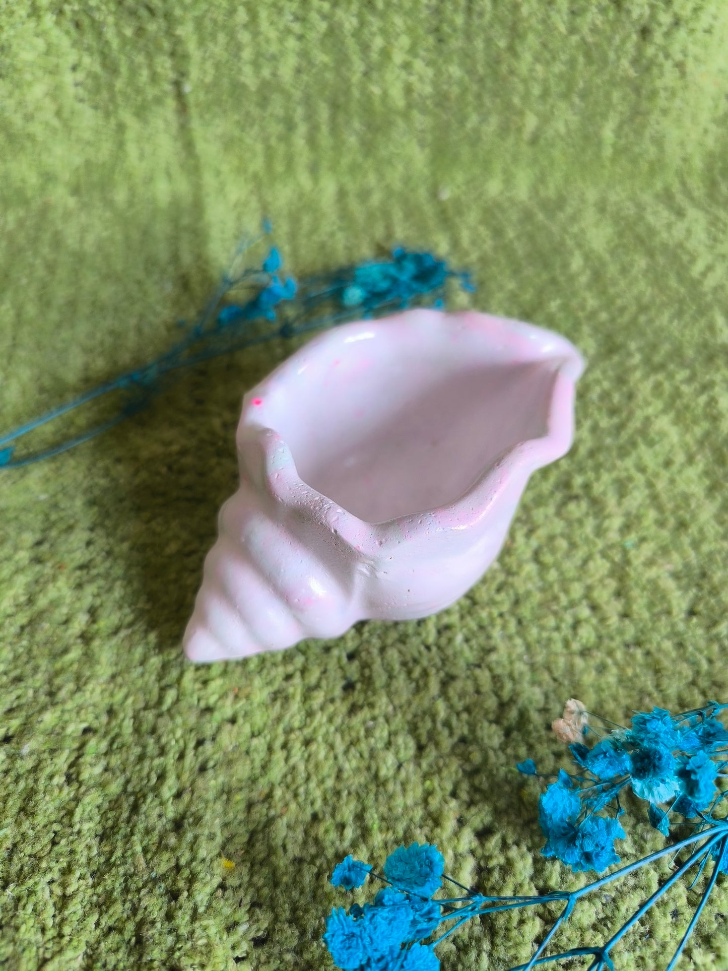 ✨Pastel shell 🐚