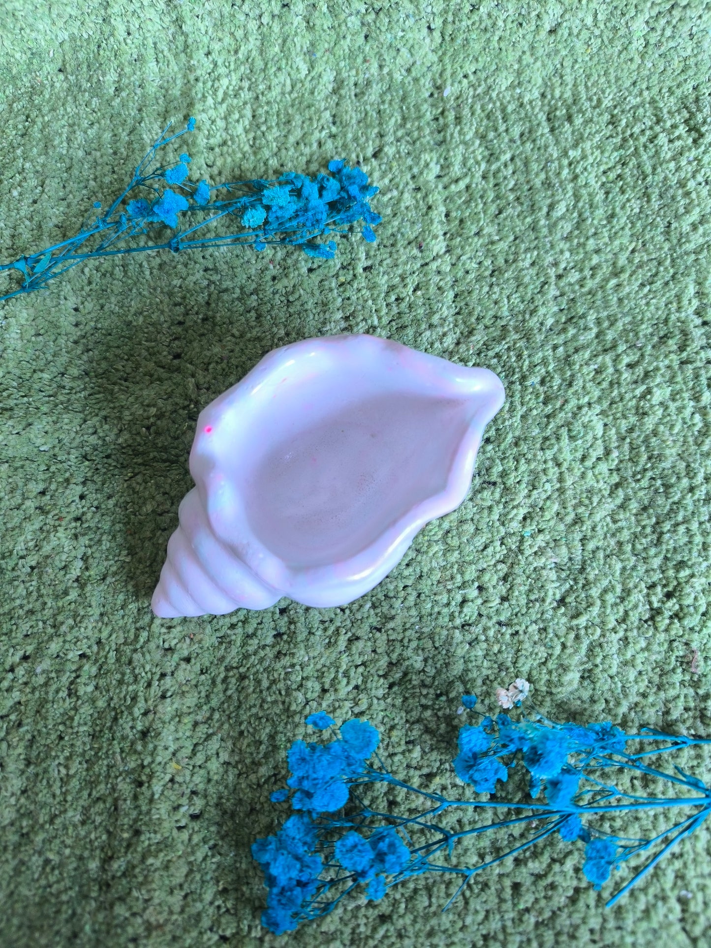 ✨Pastel shell 🐚