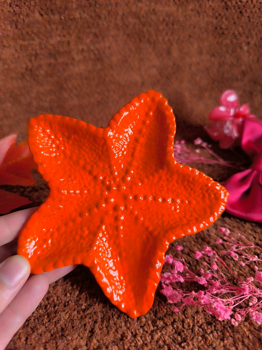 Orange star fish⭐