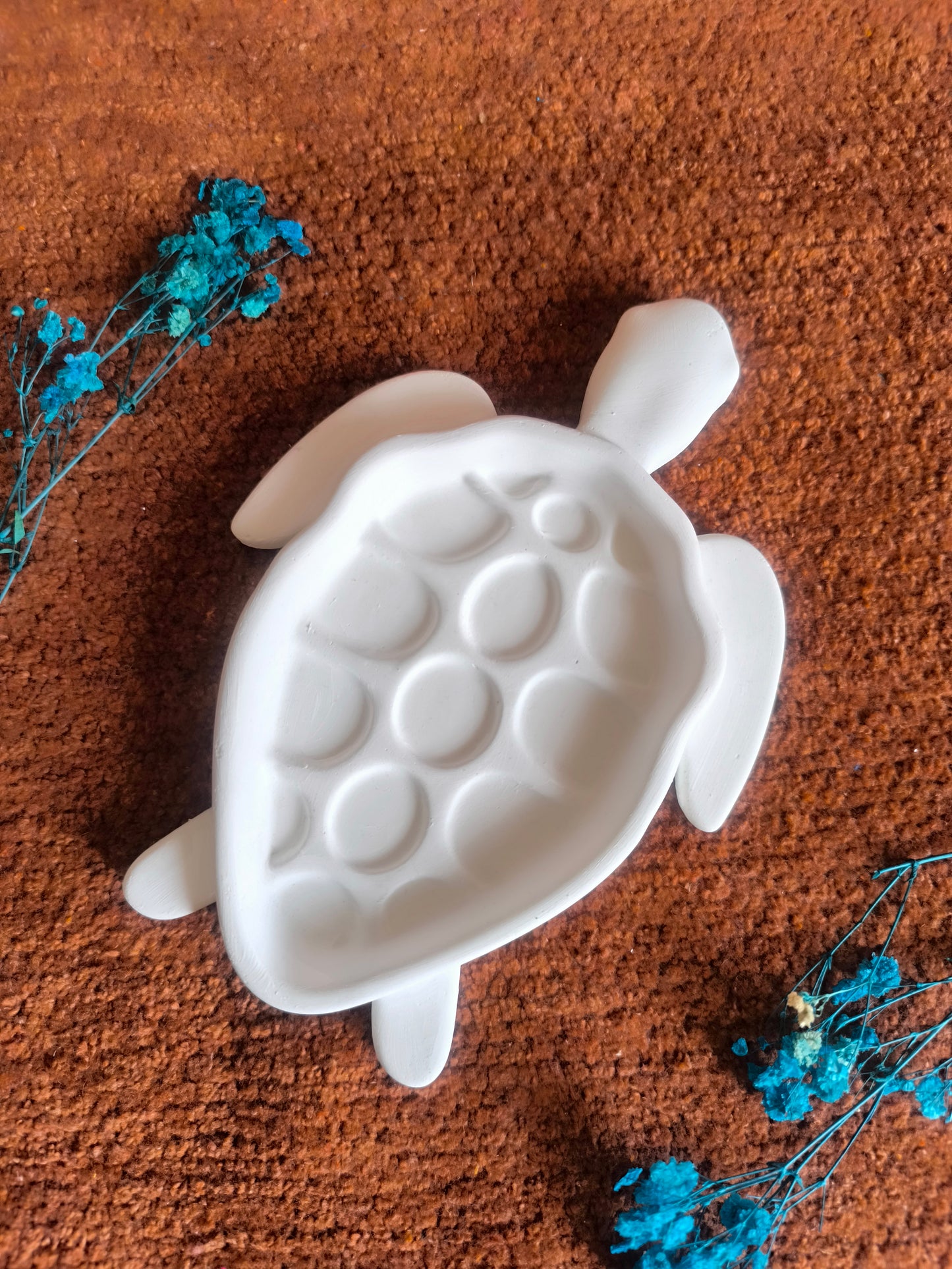 Tortoise trinket shell 🐢