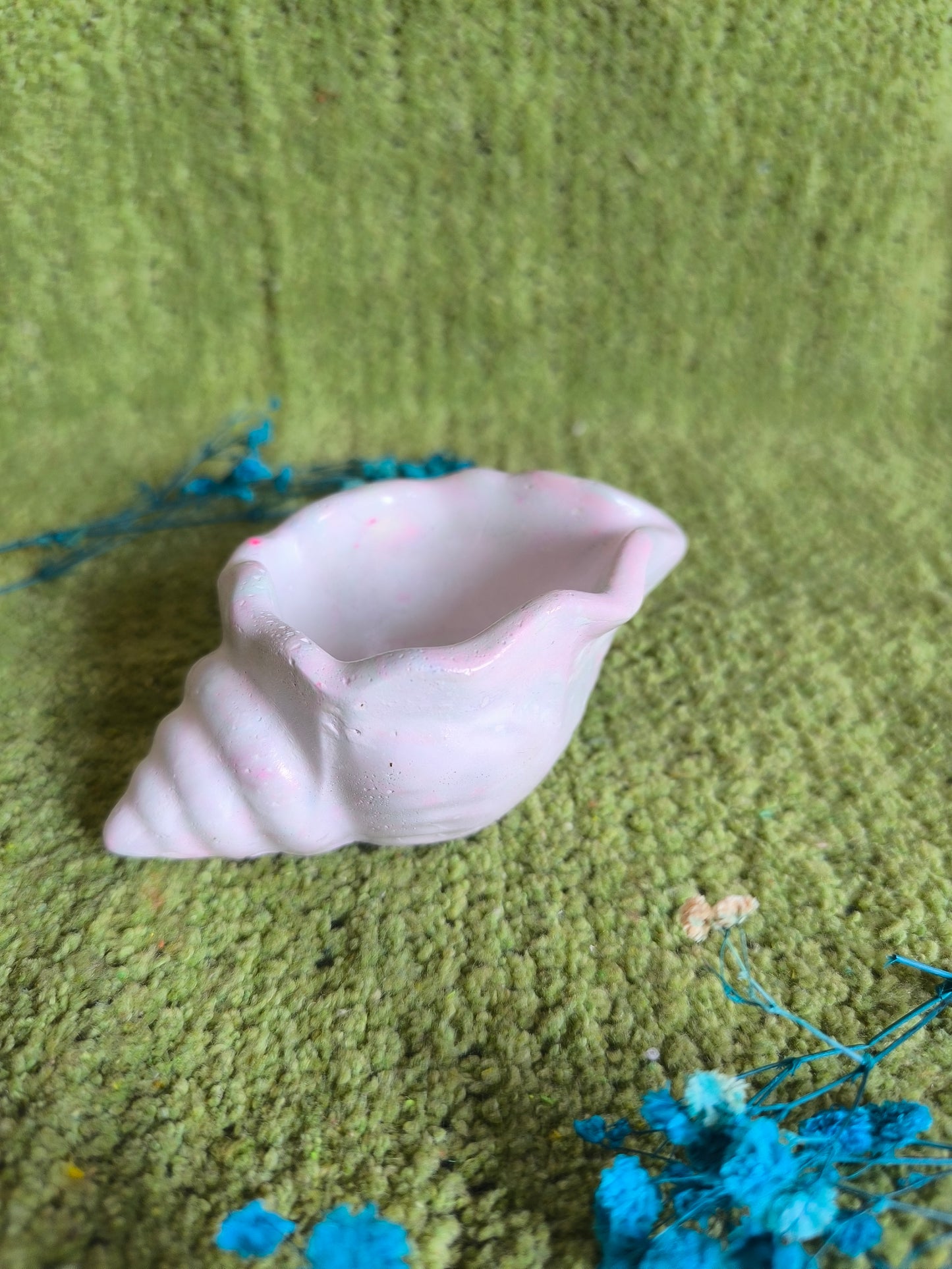 ✨Pastel shell 🐚