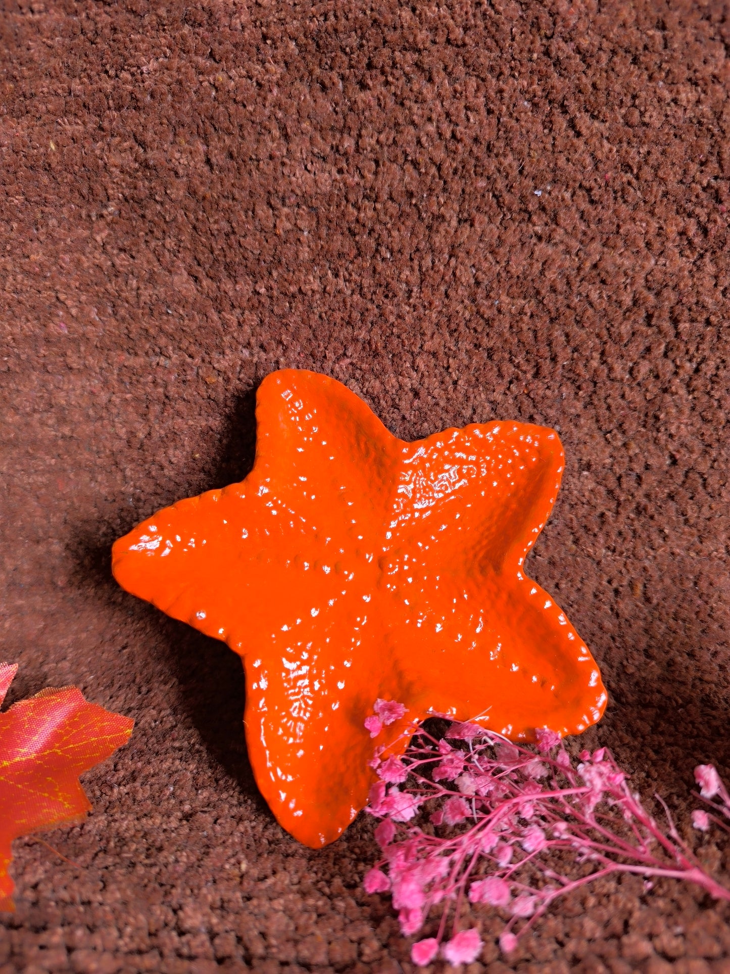 Orange star fish⭐