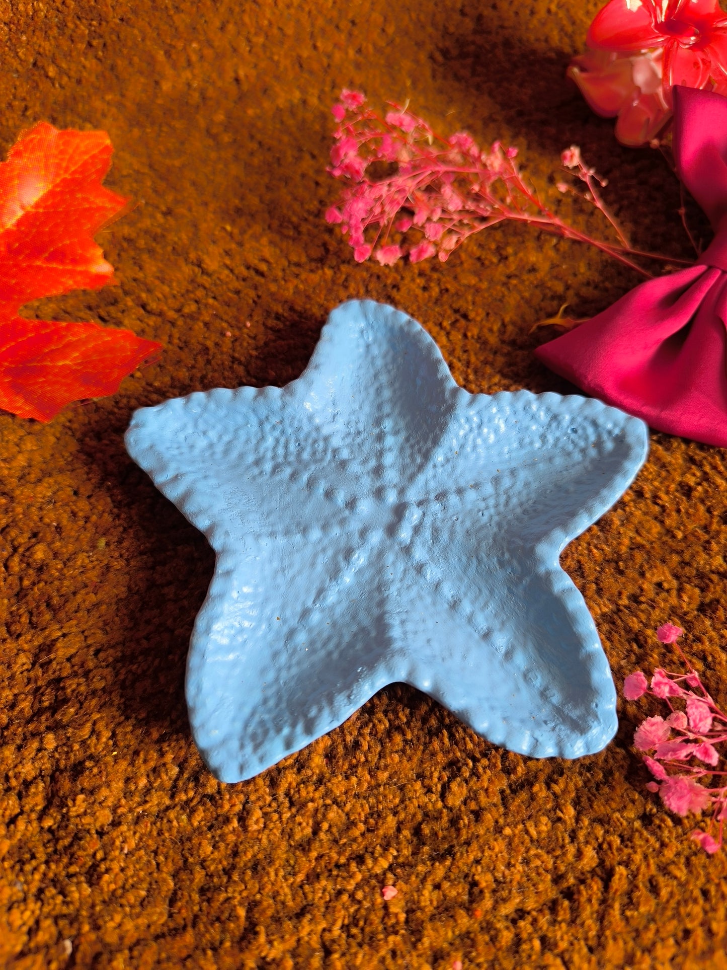 Sky Blue star fish 🐟