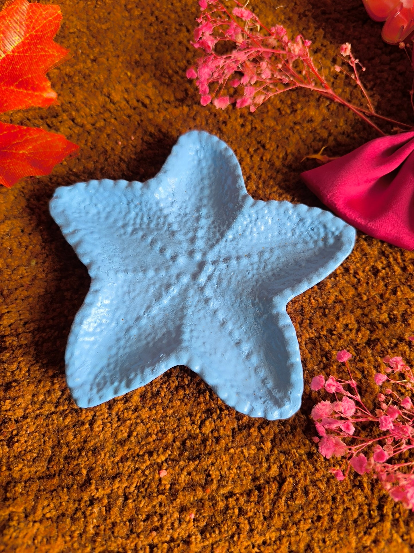 Sky Blue star fish 🐟