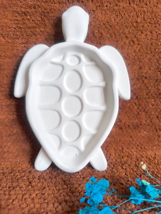 Tortoise trinket shell 🐢