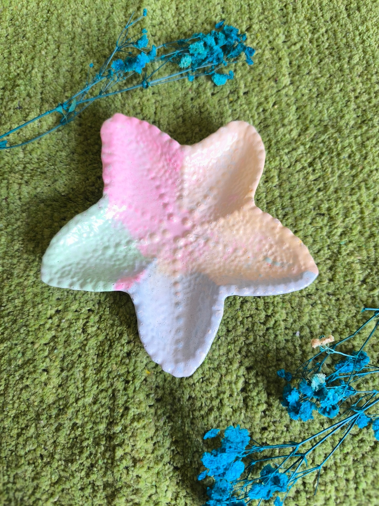 🧜‍♀️Mermaid Star Fish🌈