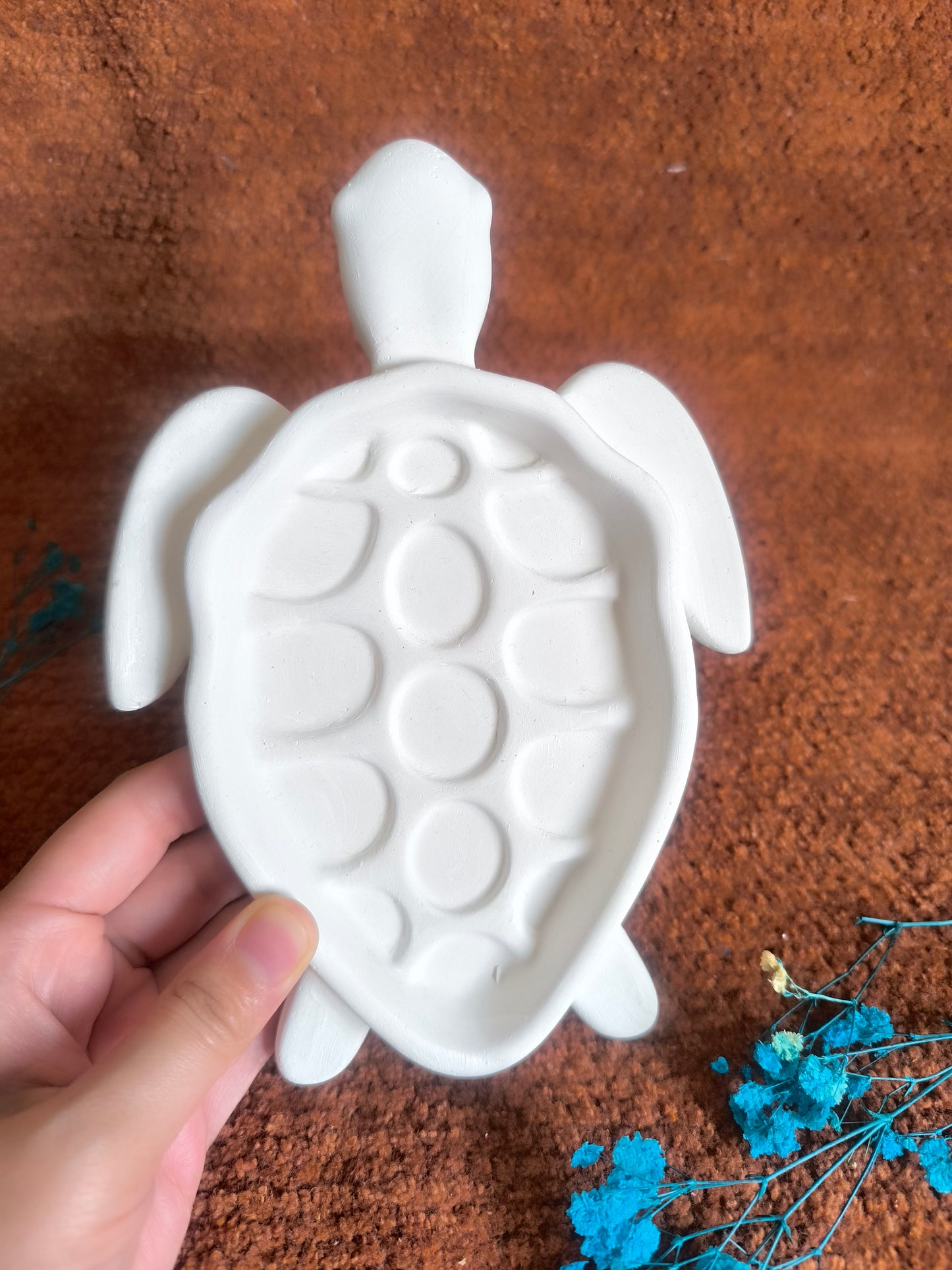 Tortoise trinket shell 🐢